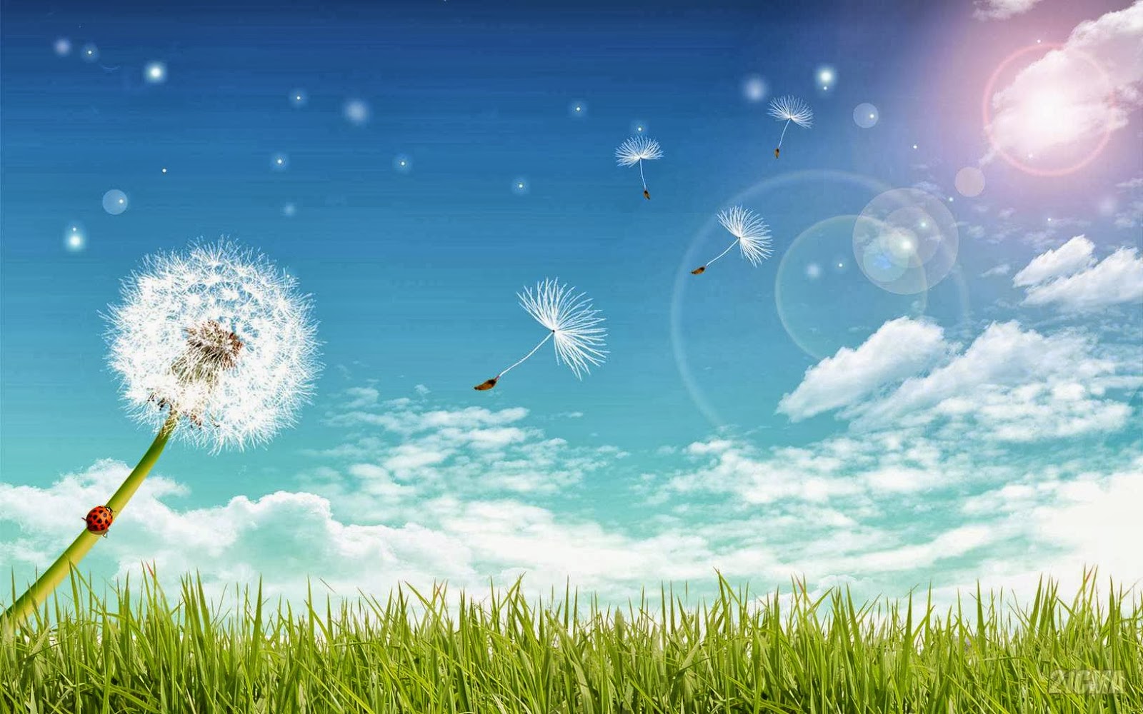 Lịch Âm Dương Chủ Nhật, 1/2/2026, ngày 14 tháng 12 Năm Ất Tỵ, Xem ngày ...